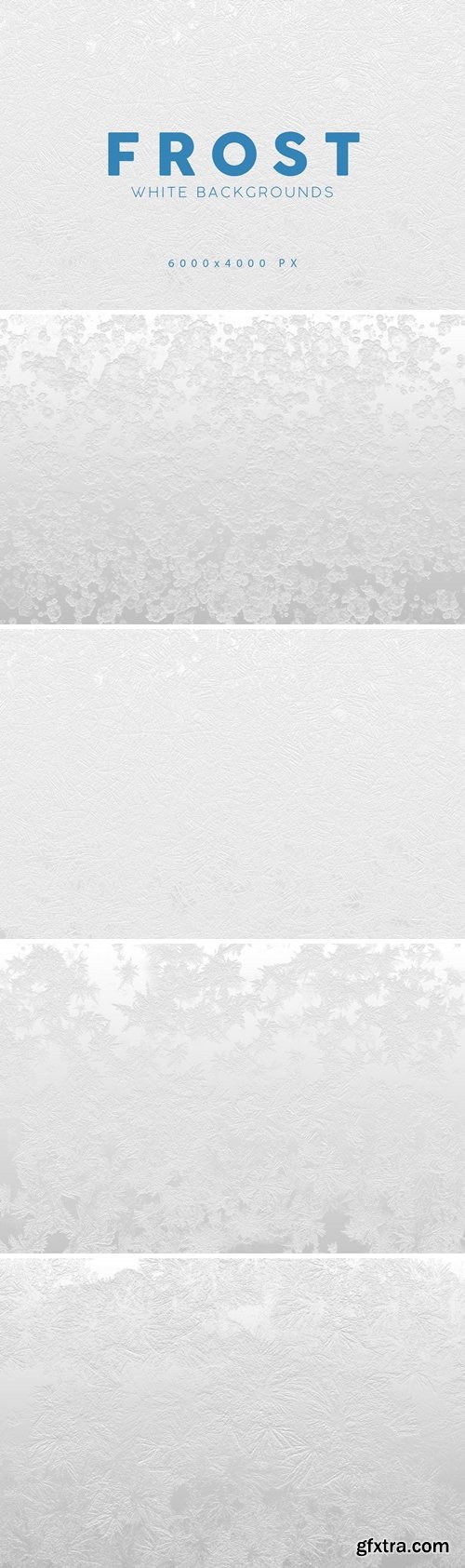 White Frost Winter Backgrounds