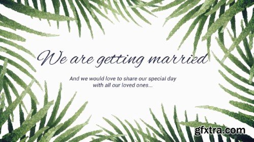 Tropical Wedding 14254747