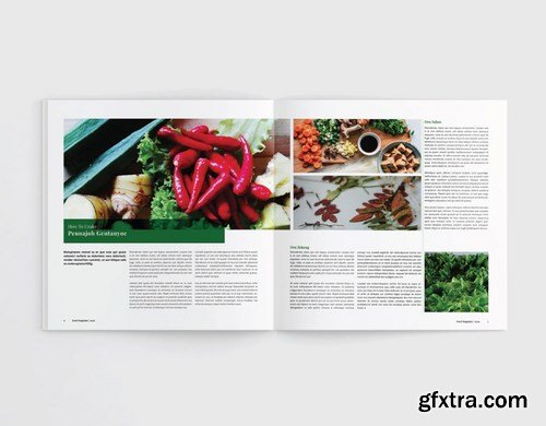 Square Food Cookbook Magazine