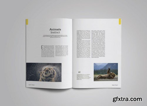 Magazine Template Vol. 9