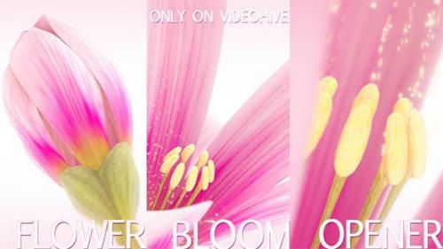 Videohive - Flower Bloom Logo