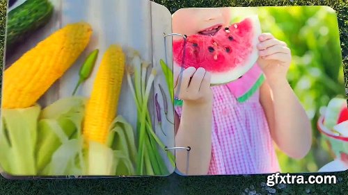 Videohive Summer Photo Album 24115694