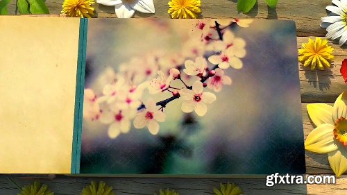 Videohive Seasons Change Photo Album 21109571