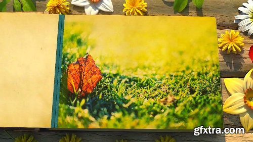 Videohive Seasons Change Photo Album 21109571