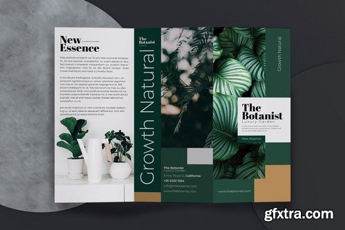 The Botanist Trifold Brochure