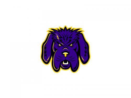 Newfoundland Dog Mascot Angry - newfoundland-dog-mascot-angry