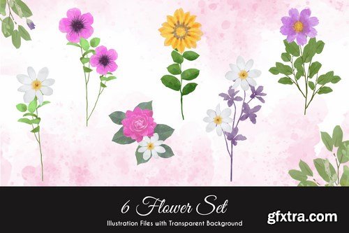 Watercolor Floral Illustrations Pack