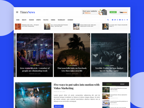 News Website - news-website-theme