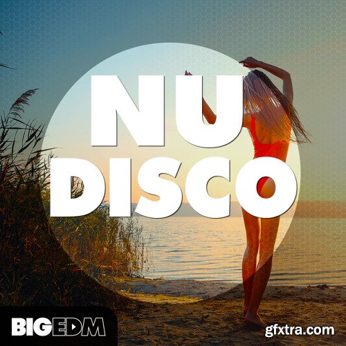 Big EDM Nu Disco WAV MiDi SPiRE PRESETS