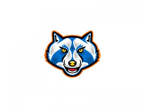 North American Raccoon Mascot - north-american-raccoon-mascot-54c08783-eeb9-4d66-92fa-4d76bc7ee21f