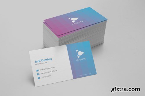 Professional Business Card