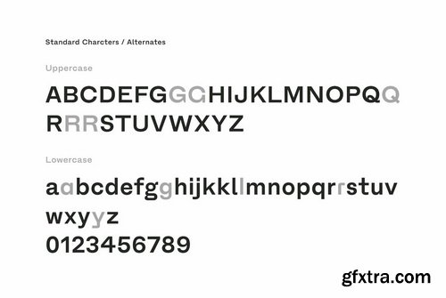 Fracktif Font Family