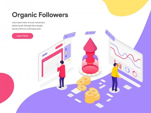 Organic Followers Isometric Illustration - organic-followers-isometric-illustration