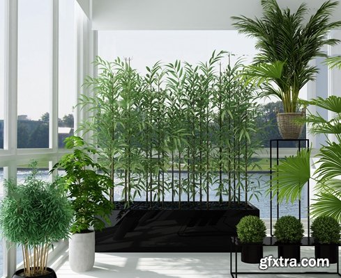 Modern potted plants 13