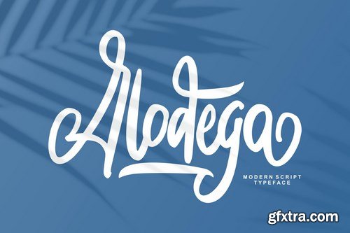 Alodega Modern Script