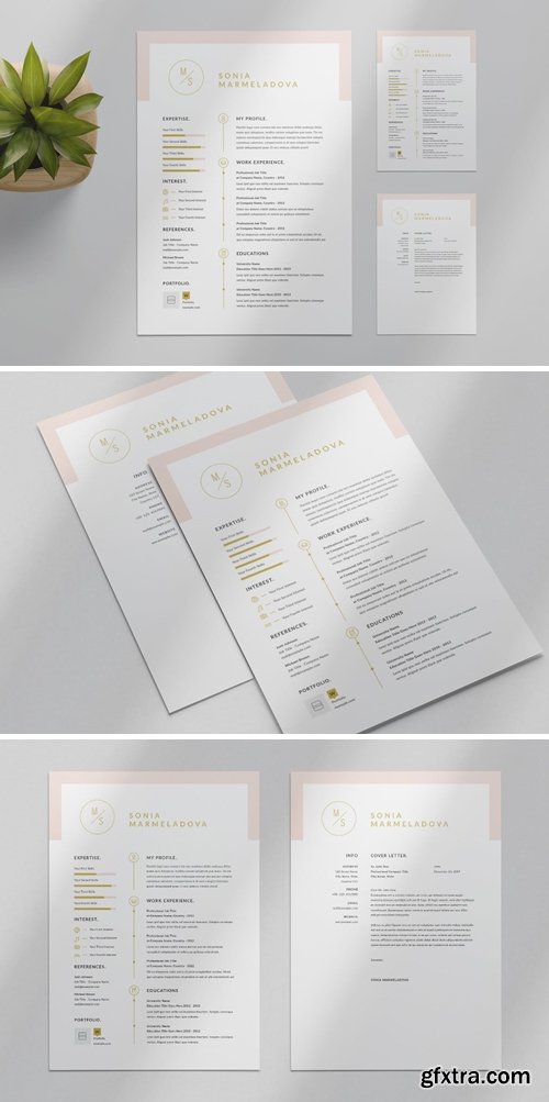 Resume Layout with Pink Accents » GFxtra