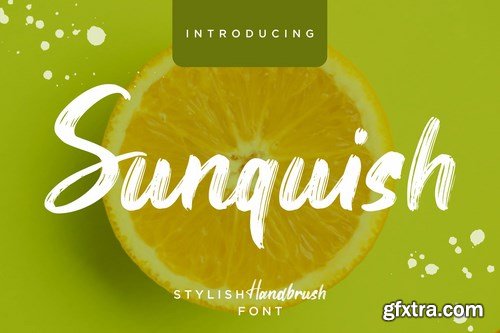 Sunquish Stylish Handbrush