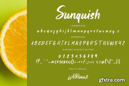 Sunquish Stylish Handbrush