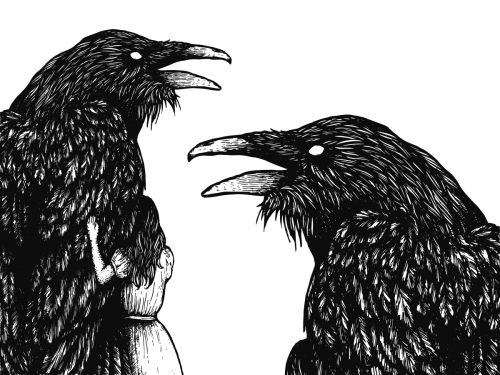 Raven Scratchboard Illustration - raven-scratchboard-illustration