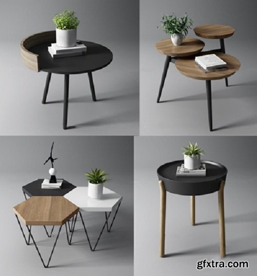 Coffee Table / Potted Plants Combination