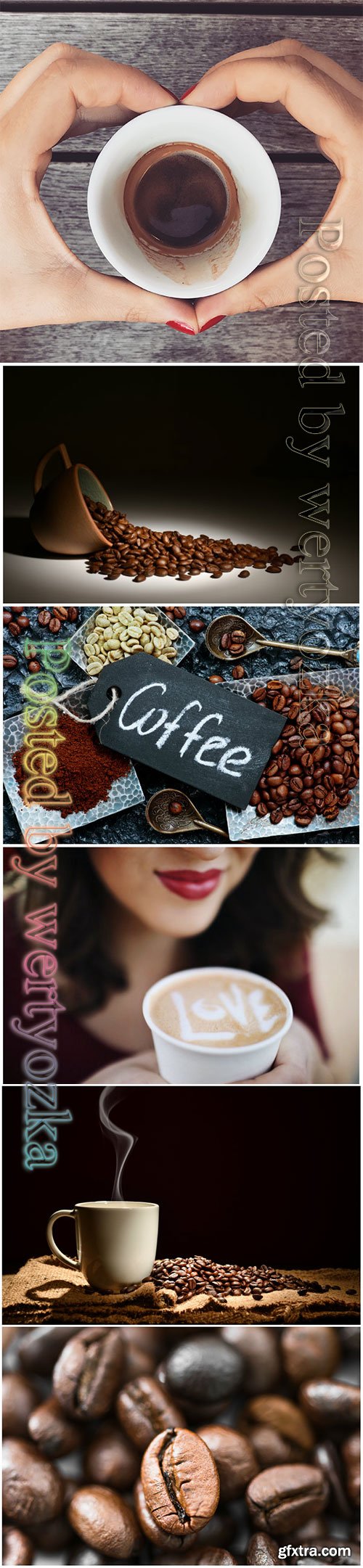 Coffee beans beautiful stock photo