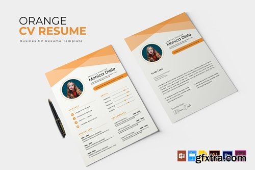 The Orange | CV & Resume