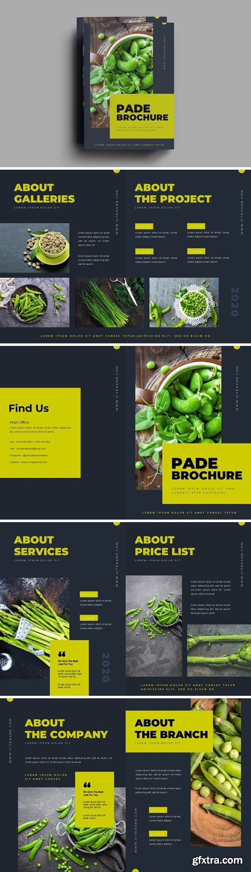 Pade Brochure Template