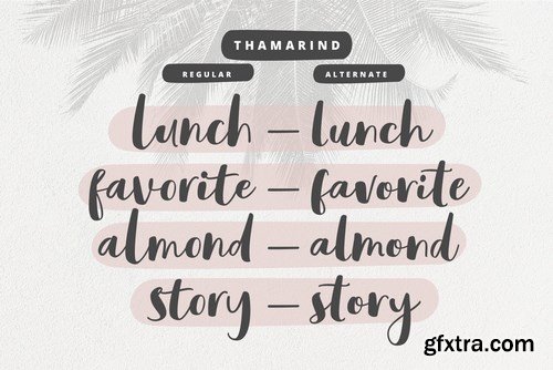 Thamarind Handwritten Font