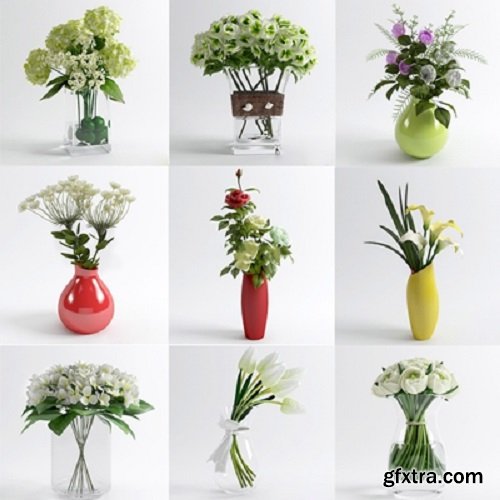 Bouquet 3D models Collection