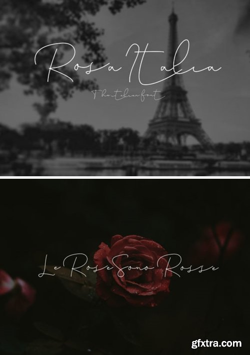 Rosa Italia Font