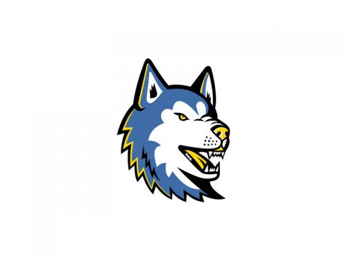 Siberian Husky Dog Mascot - siberian-husky-dog-mascot-a10b9343-941a-47ec-be02-fd1ca2ac2ce6