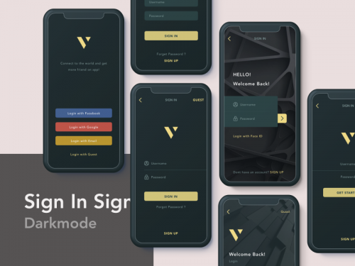 Signin Signup Darkmode chapter Four - animation - signin-signup-darkmode-chapter-four-animation