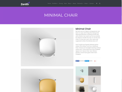 Single Portfolio Post - Zenith WordPress Theme - single-portfolio-post-zenith-wordpress-theme