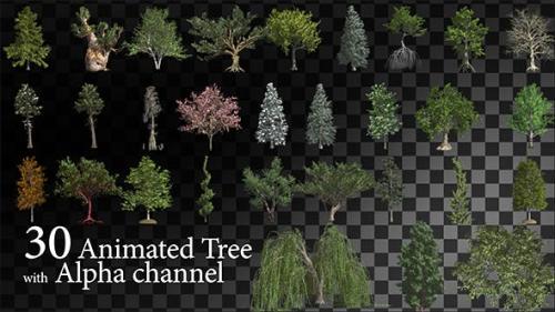 Videohive - 30 HI Poly Animated Tree