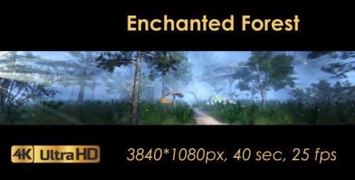Videohive - The Enchanted Forest Panorama