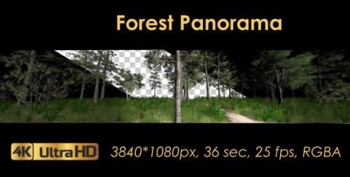 Videohive - Forest 3D Panoramic Animation