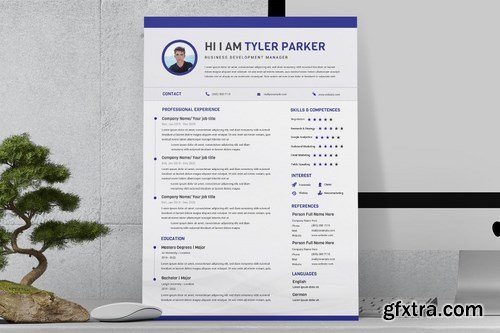 Blue Manager Resume Pro