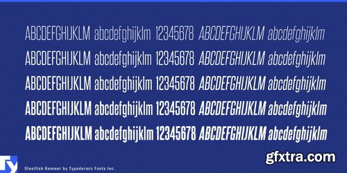 Steelfish Hammer Font Family