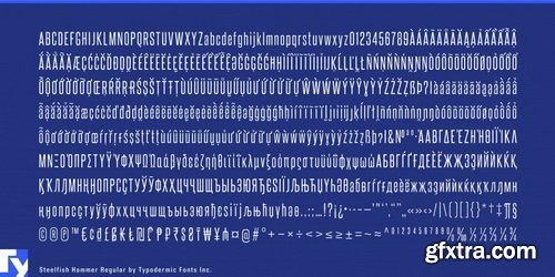 Steelfish Hammer Font Family