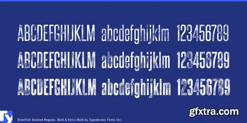 Steelfish Steeled Font Family