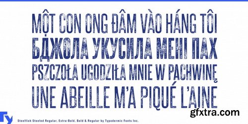 Steelfish Steeled Font Family