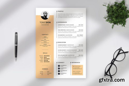 Minimalist Resume Curriculum Vitae Template