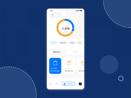 Statistic screen design concept for Budget Management app - statistic-screen-design-concept-for-budget-management-app