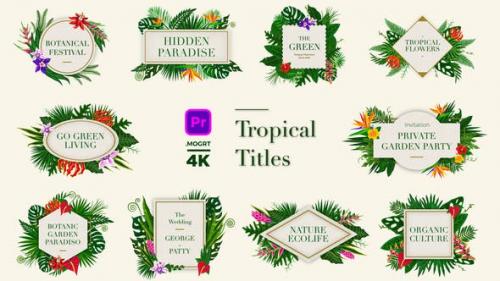 Videohive - Tropical Titles