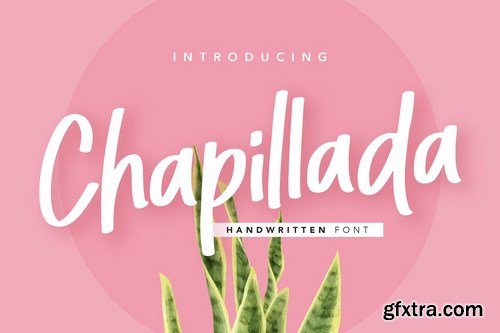 CM - Chapillada Font 4531031