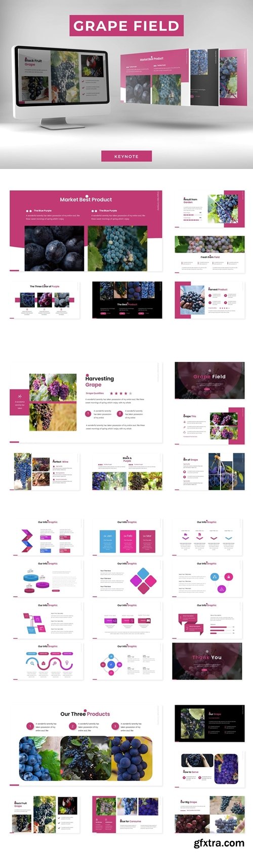 Grape Field Powerpoint, Keynote and Google Slides Templates