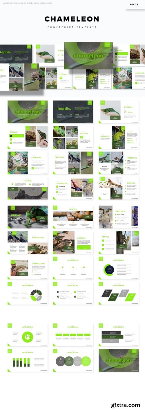 Chameleon Powerpoint, Keynote and Google Slides Templates