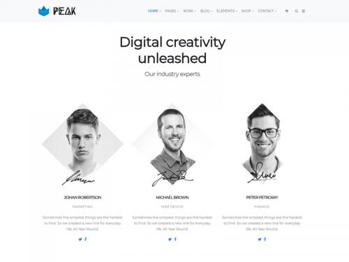 Team Members View - Peak WordPress Theme - team-members-view-peak-wordpress-theme
