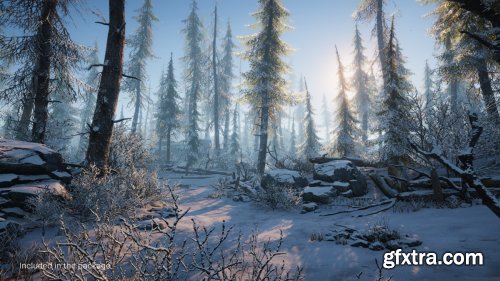 Winter Environment - Nature Pack