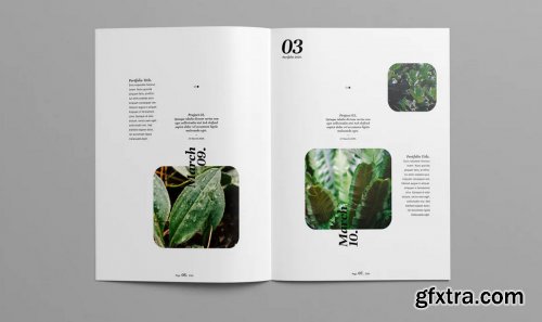 Multipurpose creative portfolio magazine